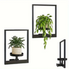 Plant Frame