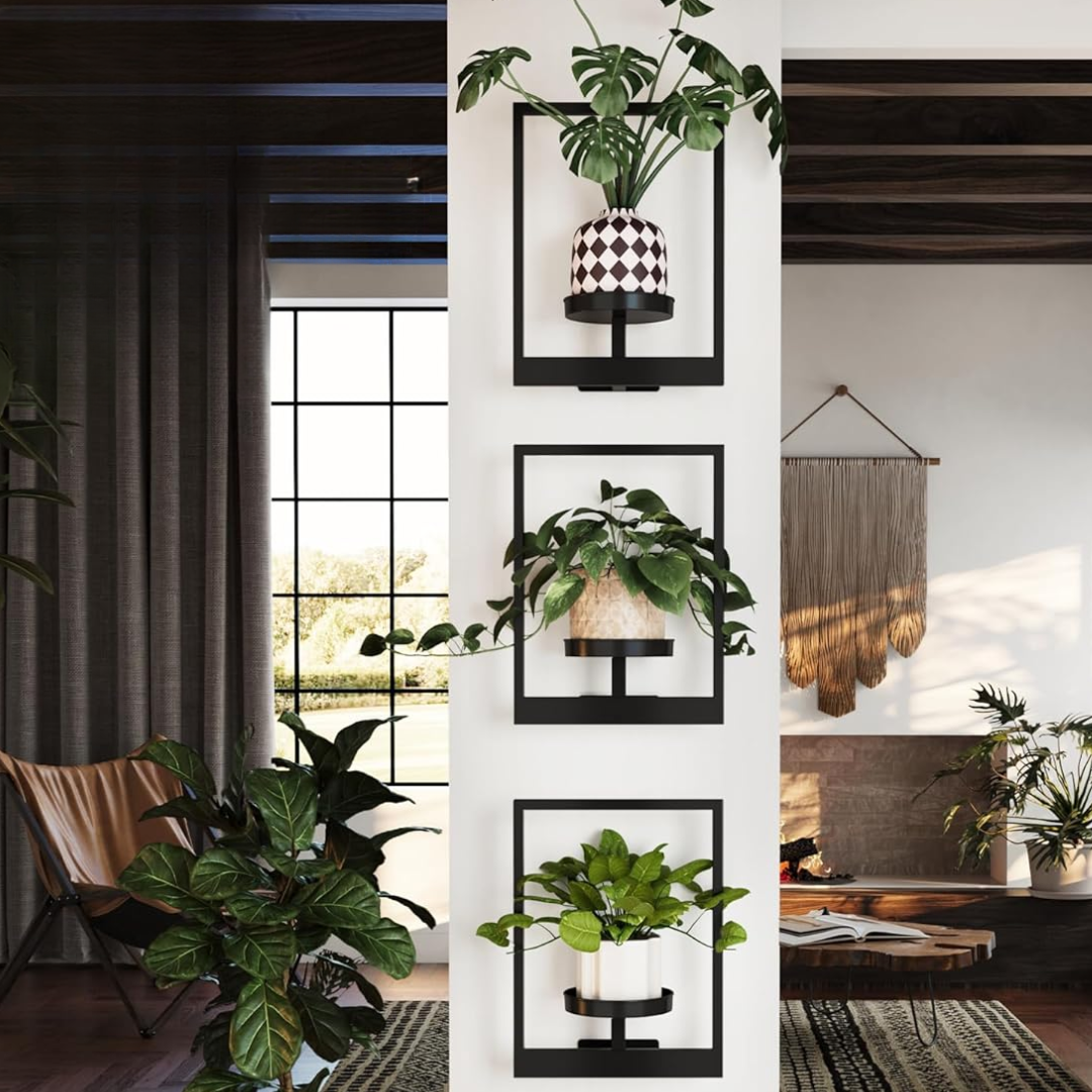indoor plant wall frame Plant Frame – VELVOI