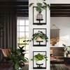 Plant Frame