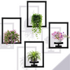 Plant Frame