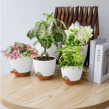 Self Watering Pots (set of 5)