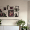 Plant Frame