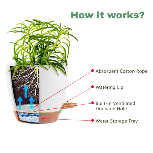 Self Watering Pots (set of 5)