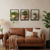 Plant Frame