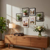 Plant Frame