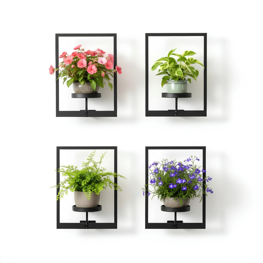 Plant Frame