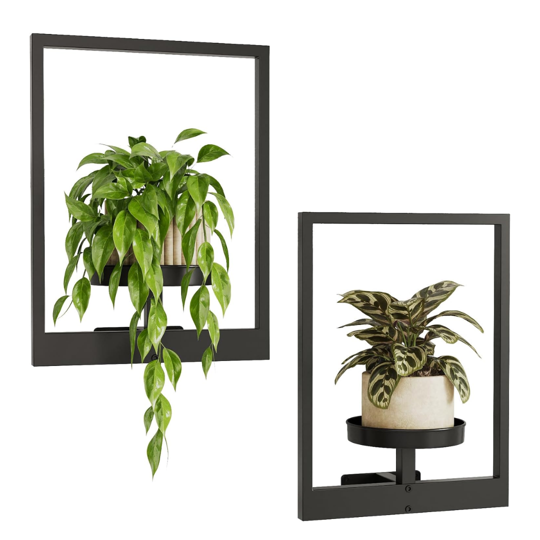 frame for hanging plants Plant Frame – VELVOI